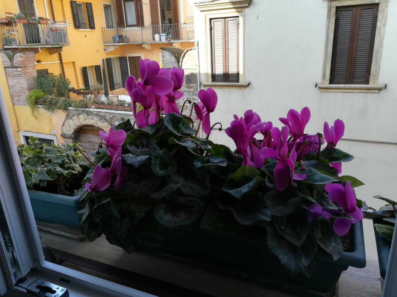 A Casa Di Luca Hotel Verona Eksteriør billede